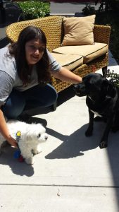 Lindsey of The Proper Canine working with two dogs learning manners